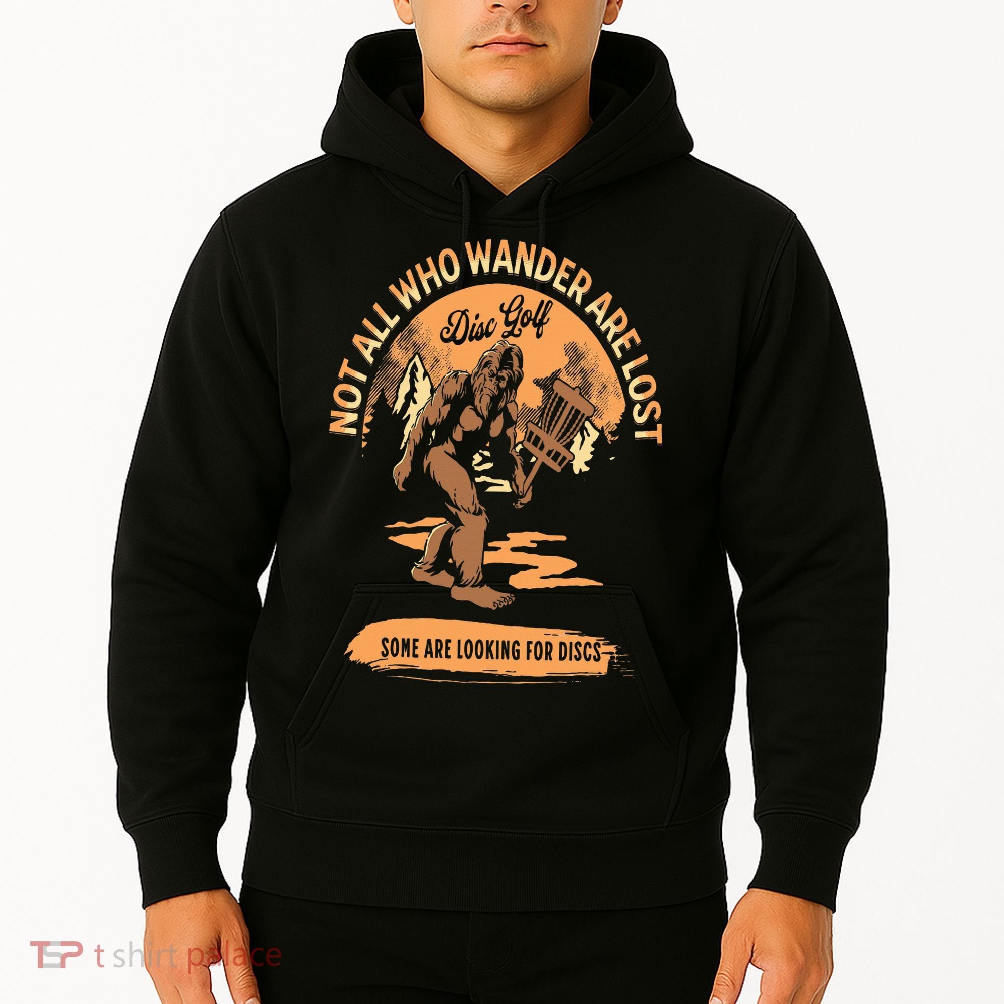 Disc Golf  Not All Who Wander Are Lost Funny Sarcastic Hoodie