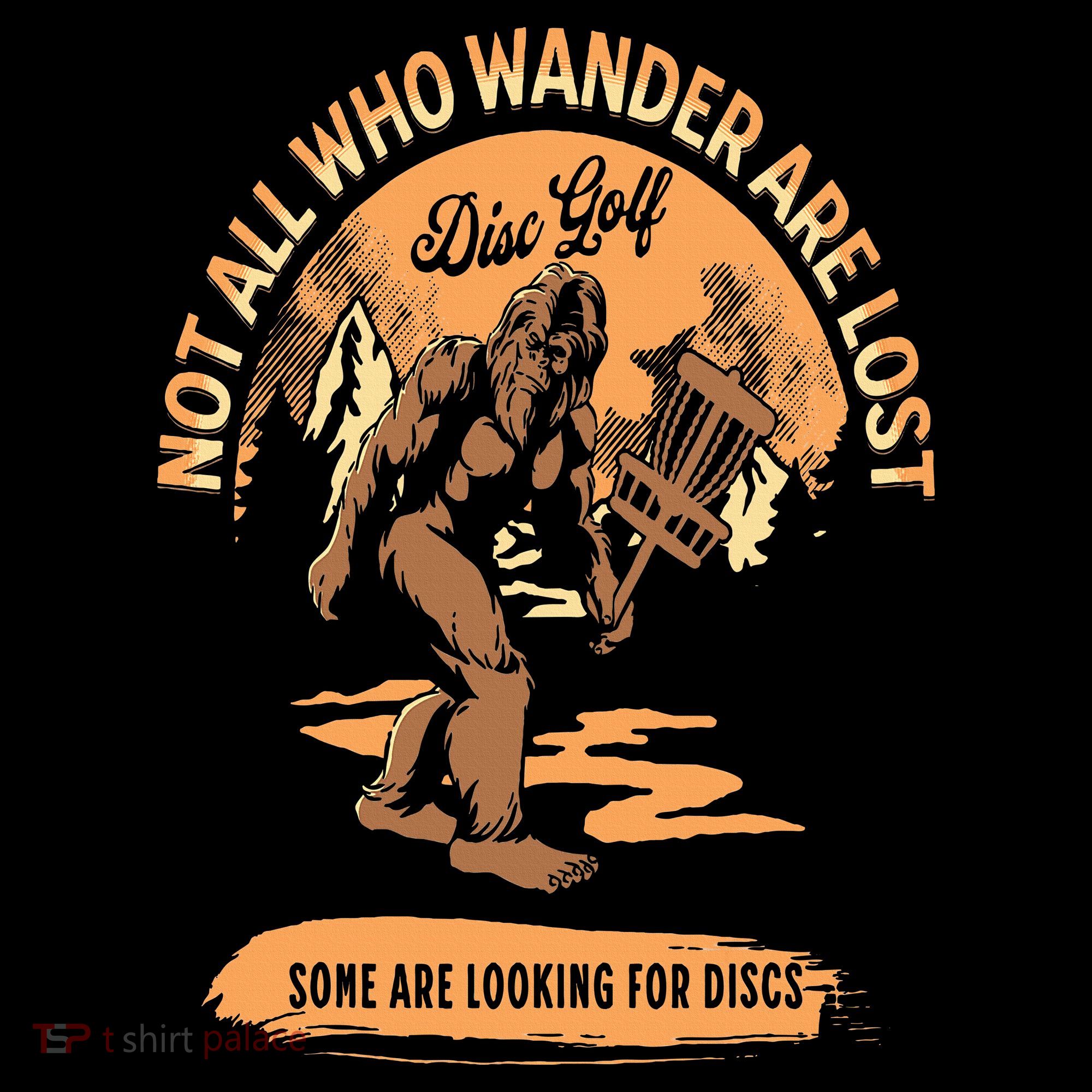 Disc Golf  Not All Who Wander Are Lost Funny Sarcastic Women's Hoodie