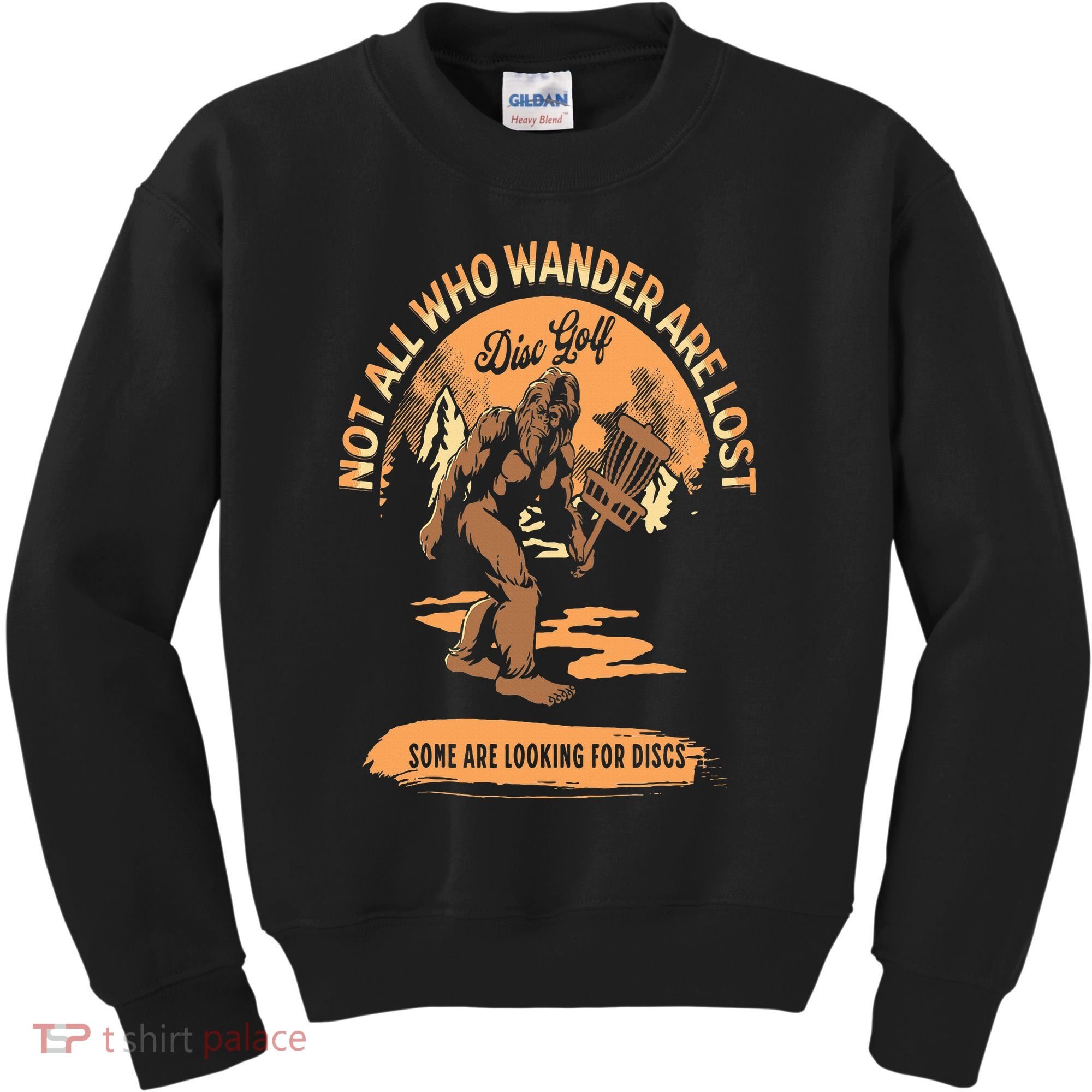 Disc Golf  Not All Who Wander Are Lost Funny Sarcastic Kids Sweatshirt