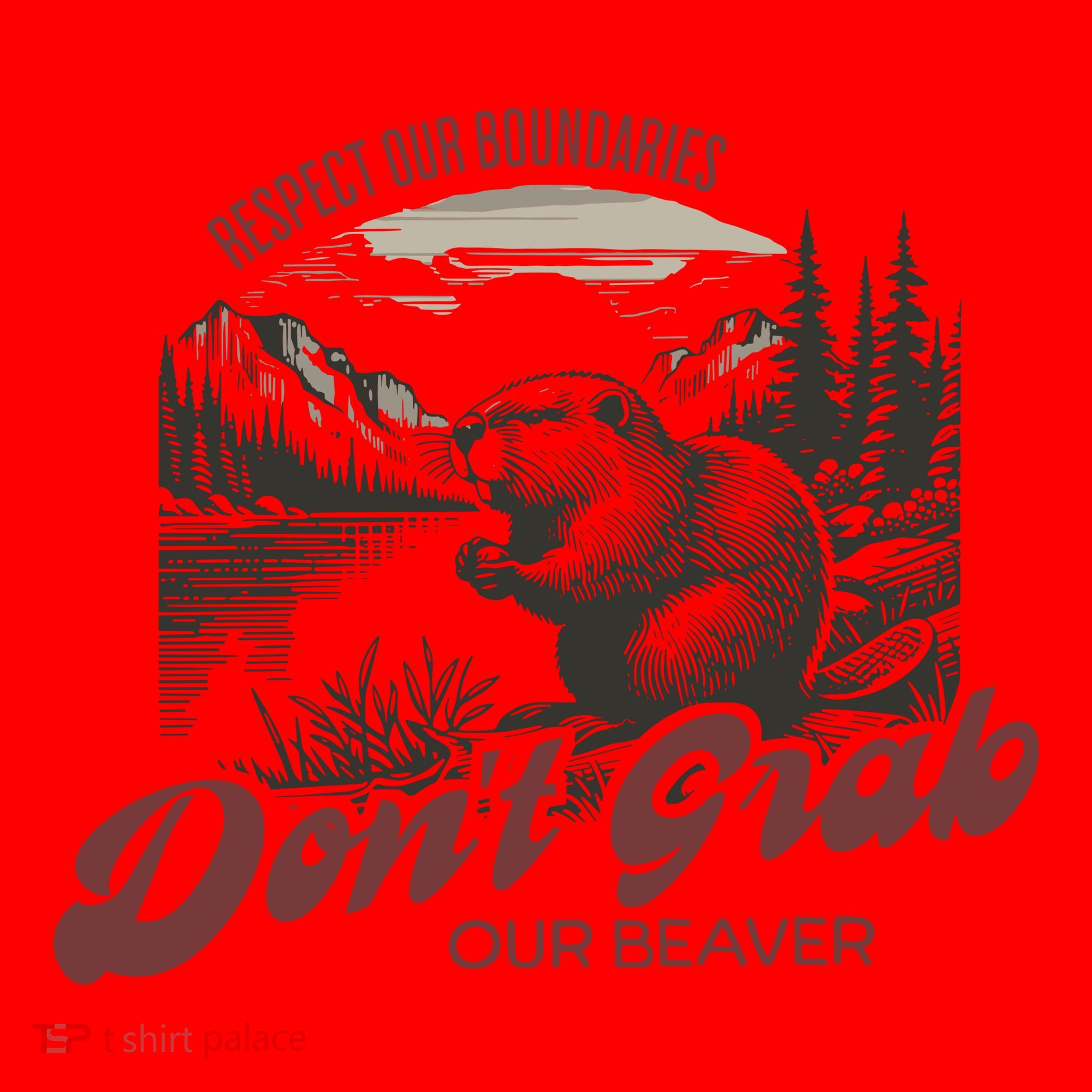 DonT Grab Our Beaver Respect Our Boundaries Santa Hat