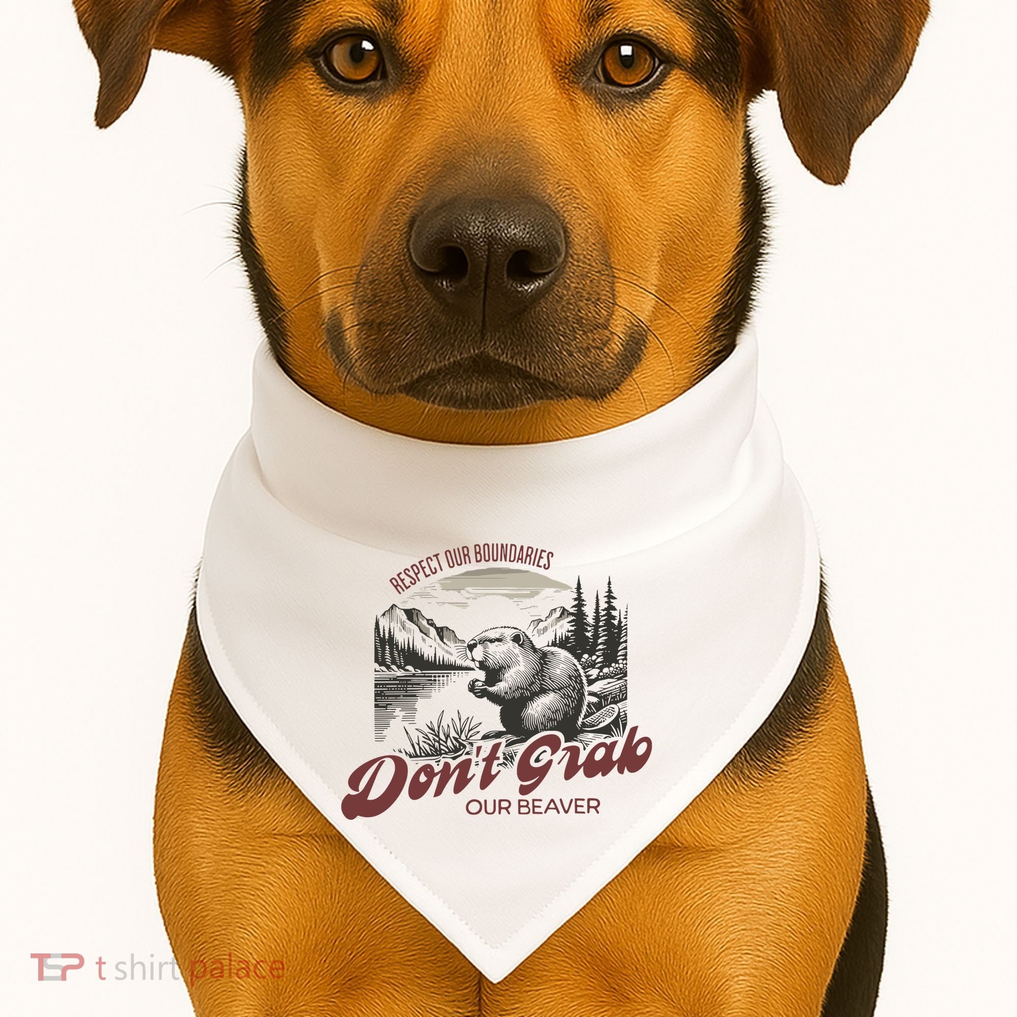 DonT Grab Our Beaver Respect Our Boundaries USA-Made Doggie Bandana