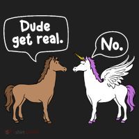 Dude Get Real Mythical Animal Rainbow Unicorn Magical Plastic Christmas Ball Ornament thumb 1