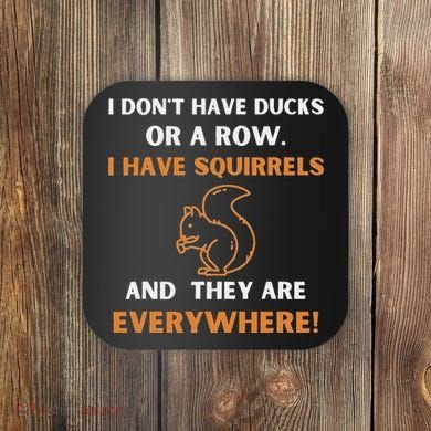 DonT Have Ducks In A Row I Have Squirrels Everywhere Funny Coaster