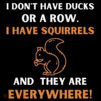DonT Have Ducks In A Row I Have Squirrels Everywhere Funny Women's Hoodie thumb 2