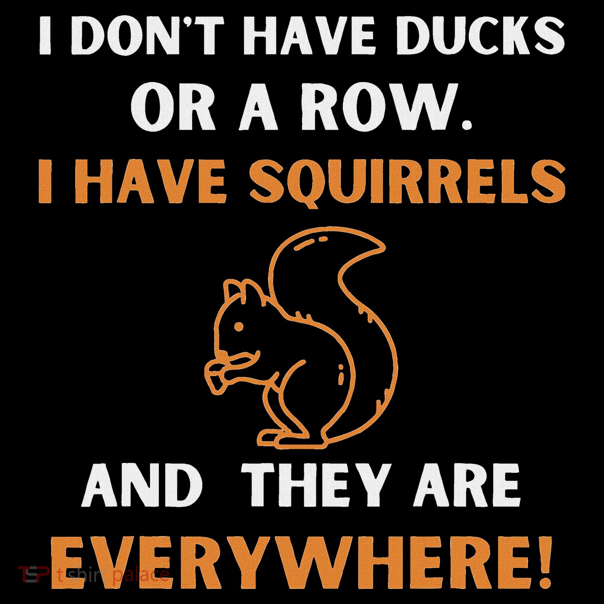 DonT Have Ducks In A Row I Have Squirrels Everywhere Funny Women's Hoodie