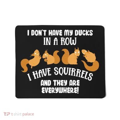 Dont Have Ducks In A Row I Have Squirrels Everywhere Mousepad
