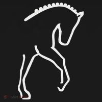 Dressage Horse T-Shirt thumb 7