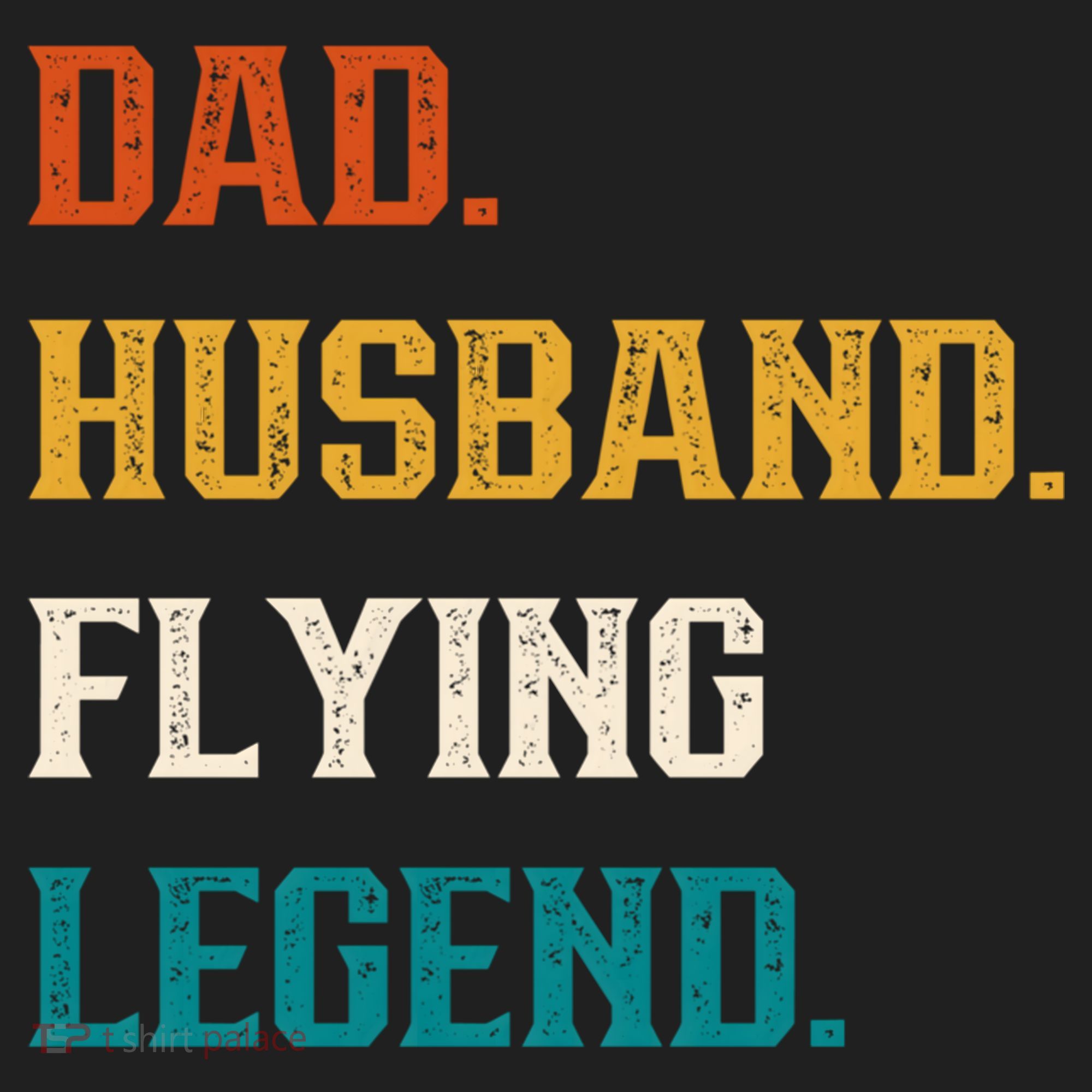 Dad Husband Flying Legend Flying Lover Pilot Aviator Cool Gift Beanie