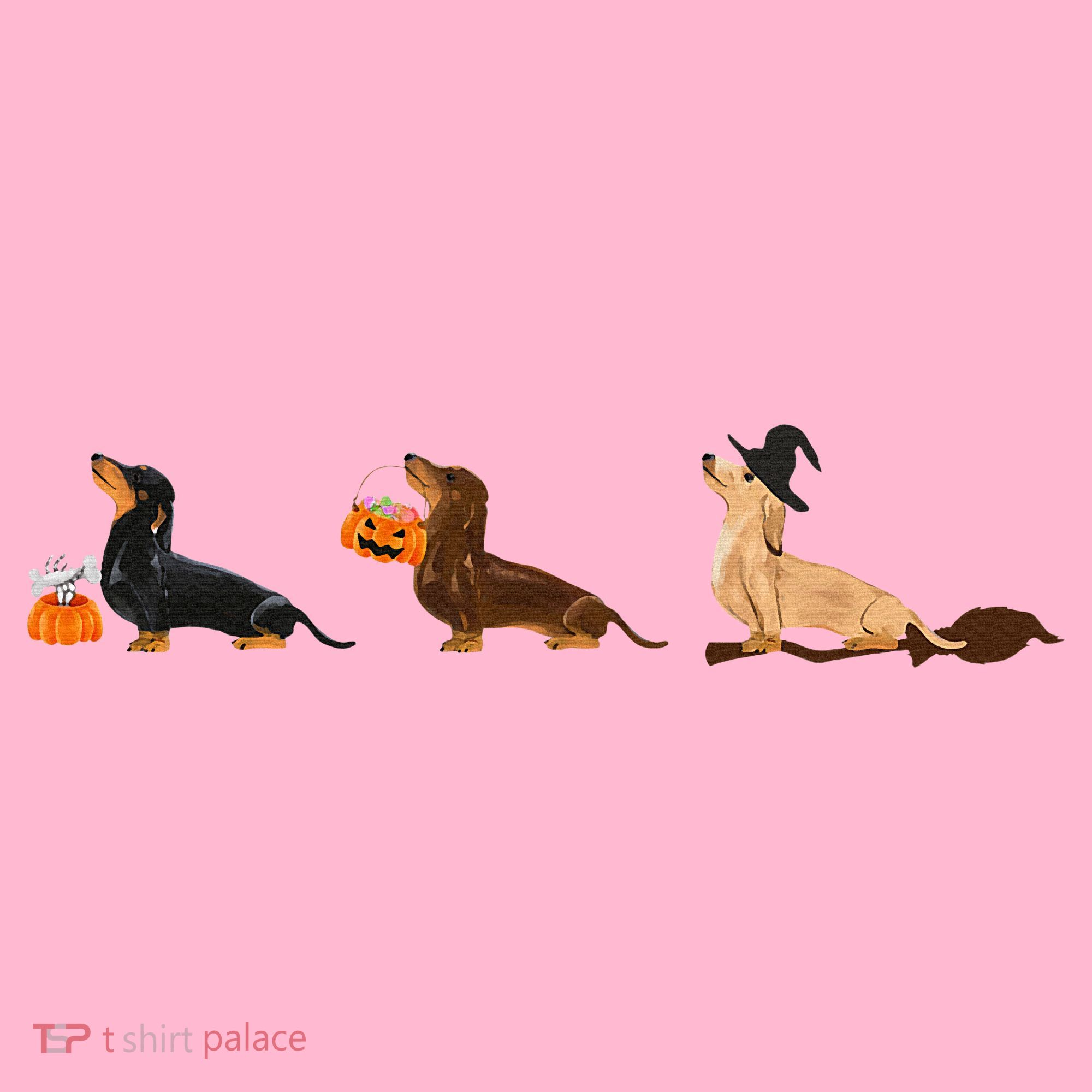 Dachshund Halloween Halloween Dachshund  Coaster