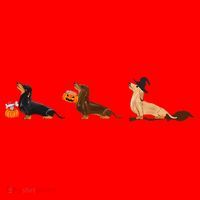 Dachshund Halloween Halloween Dachshund  Santa Hat thumb 1