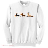 Dachshund Halloween Halloween Dachshund  Sweatshirt thumb 0