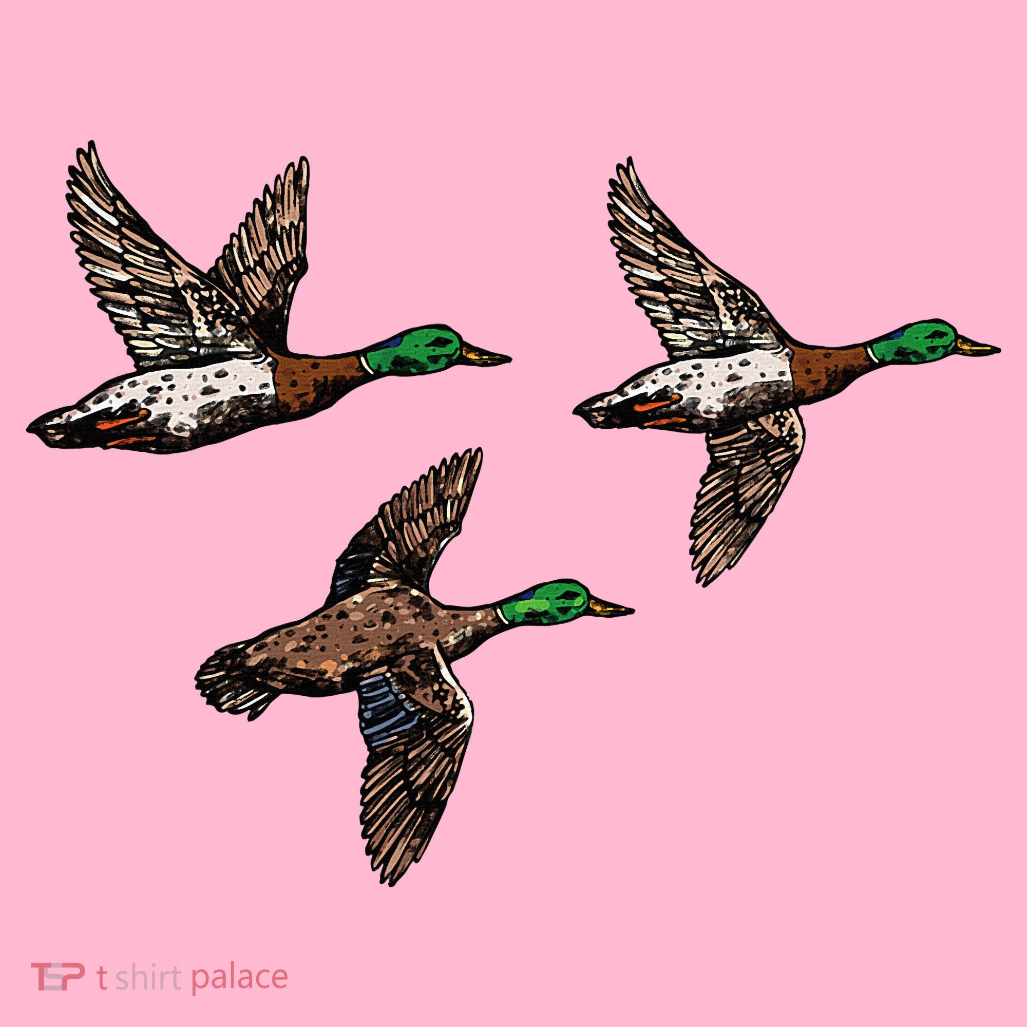 Duck Hunting Hunter Coaster