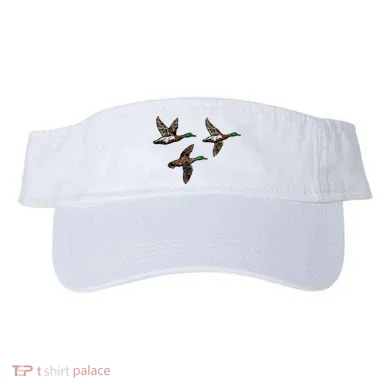 Visor