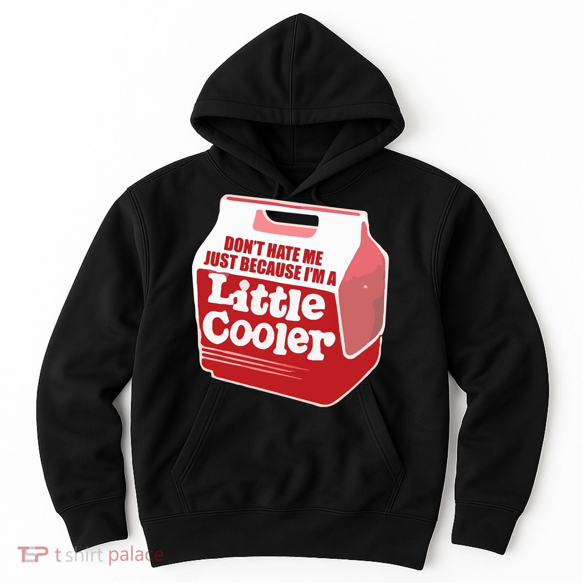 Don&39;T Hate Me Just Because I&39;M A Little Cooler Hoodie