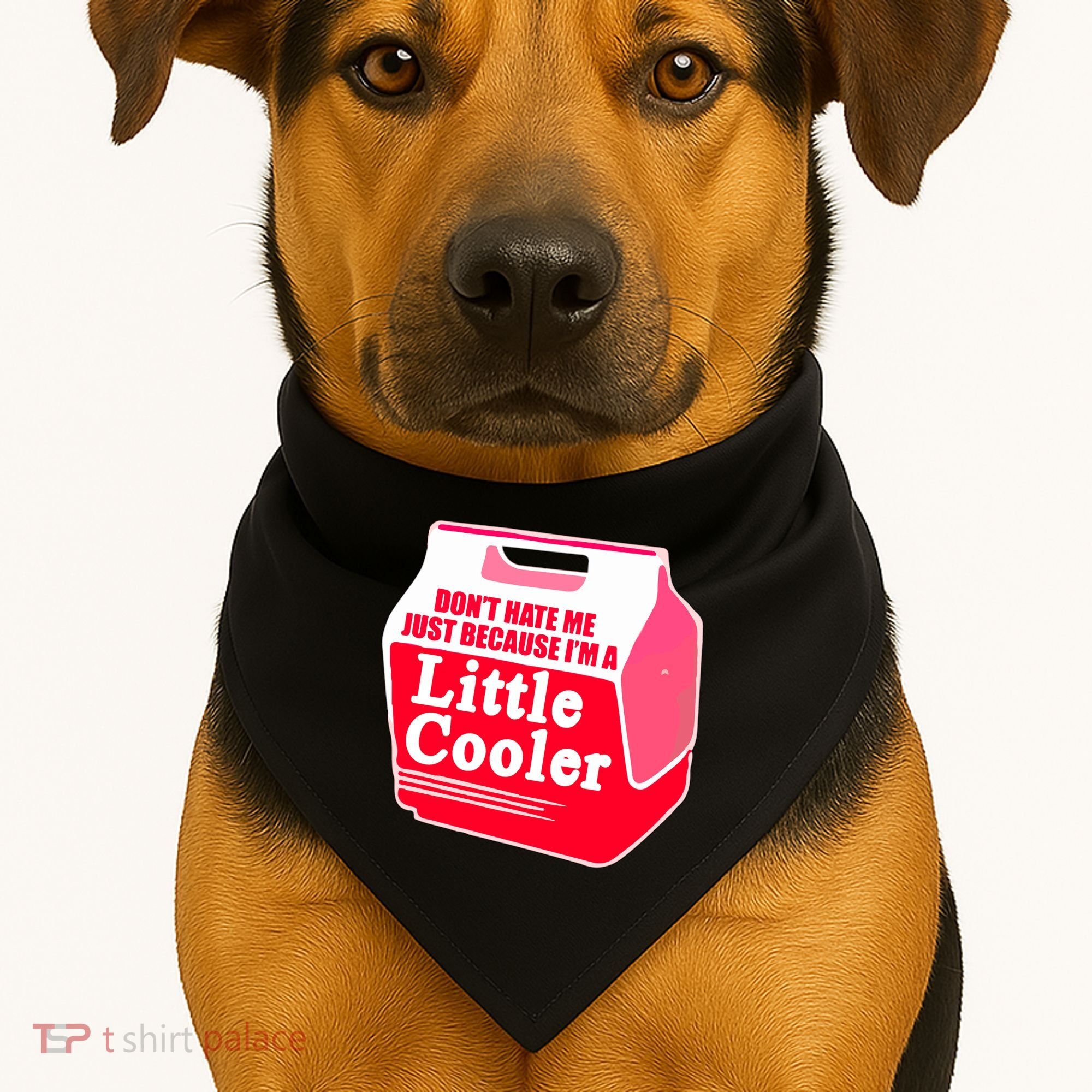 Don't Hate Me Because I'm A Little Cooler USA-Made Doggie Bandana