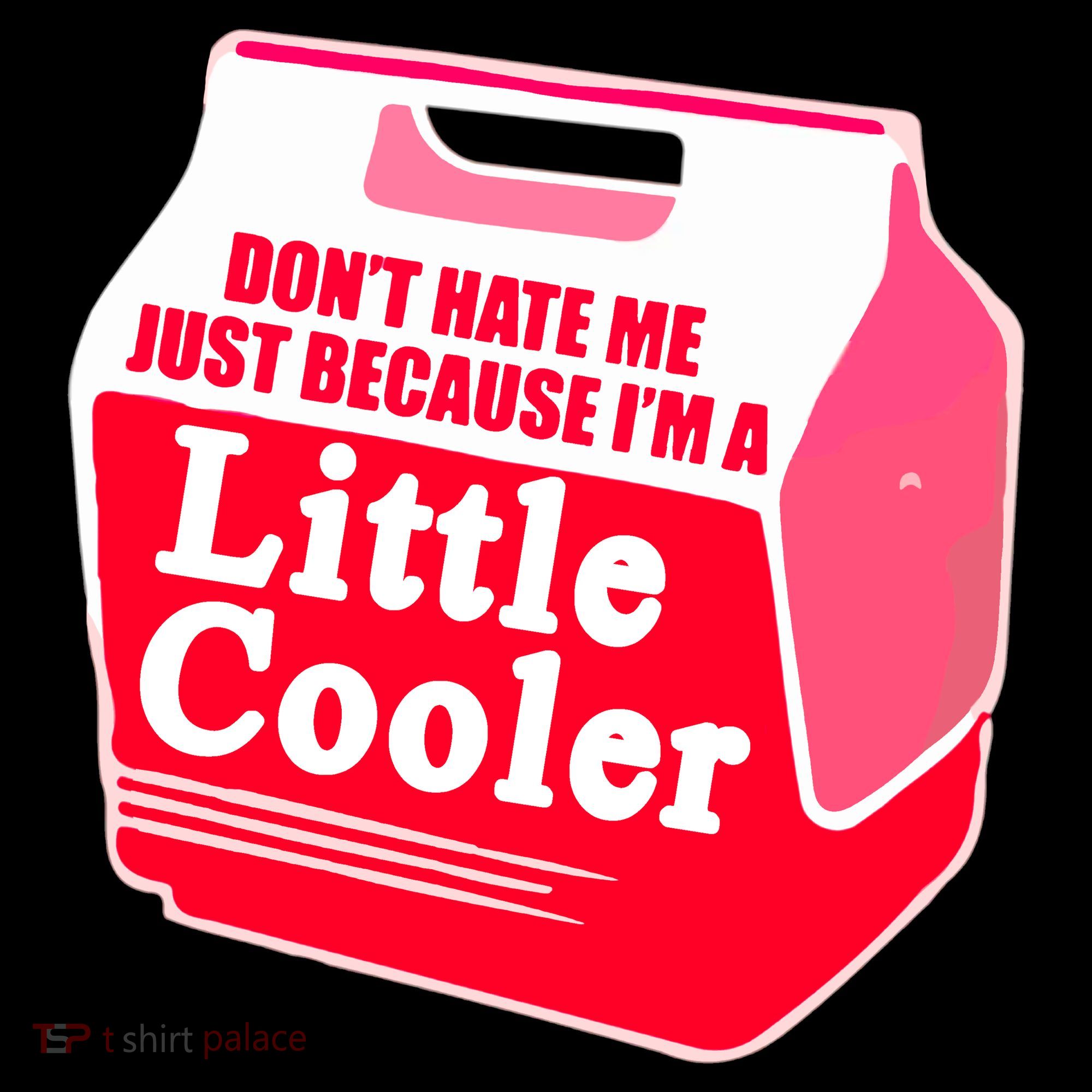 Don't Hate Me Because I'm A Little Cooler Flat Bill Trucker Hat