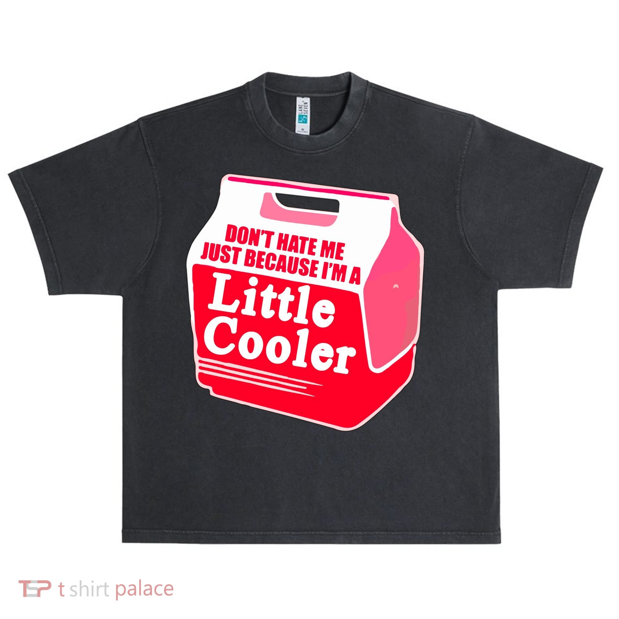 Don't Hate Me Because I'm A Little Cooler Urban Oversized Heavyweight T-Shirt