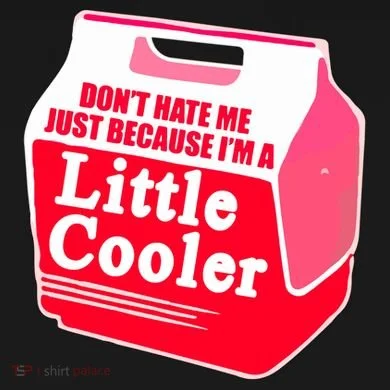Don't Hate Me Because I'm A Little Cooler Ornament