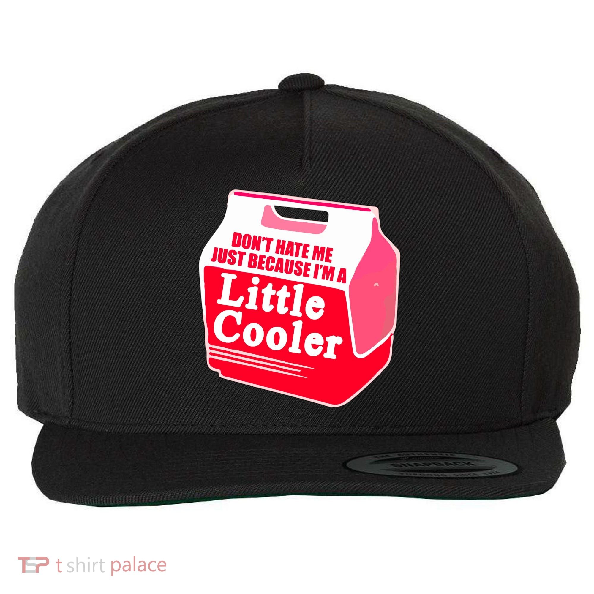 Don't Hate Me Because I'm A Little Cooler Wool Snapback Cap