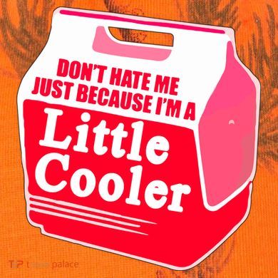Don't Hate Me Because I'm A Little Cooler Kati Licensed 12" Camo Cuffed Beanie