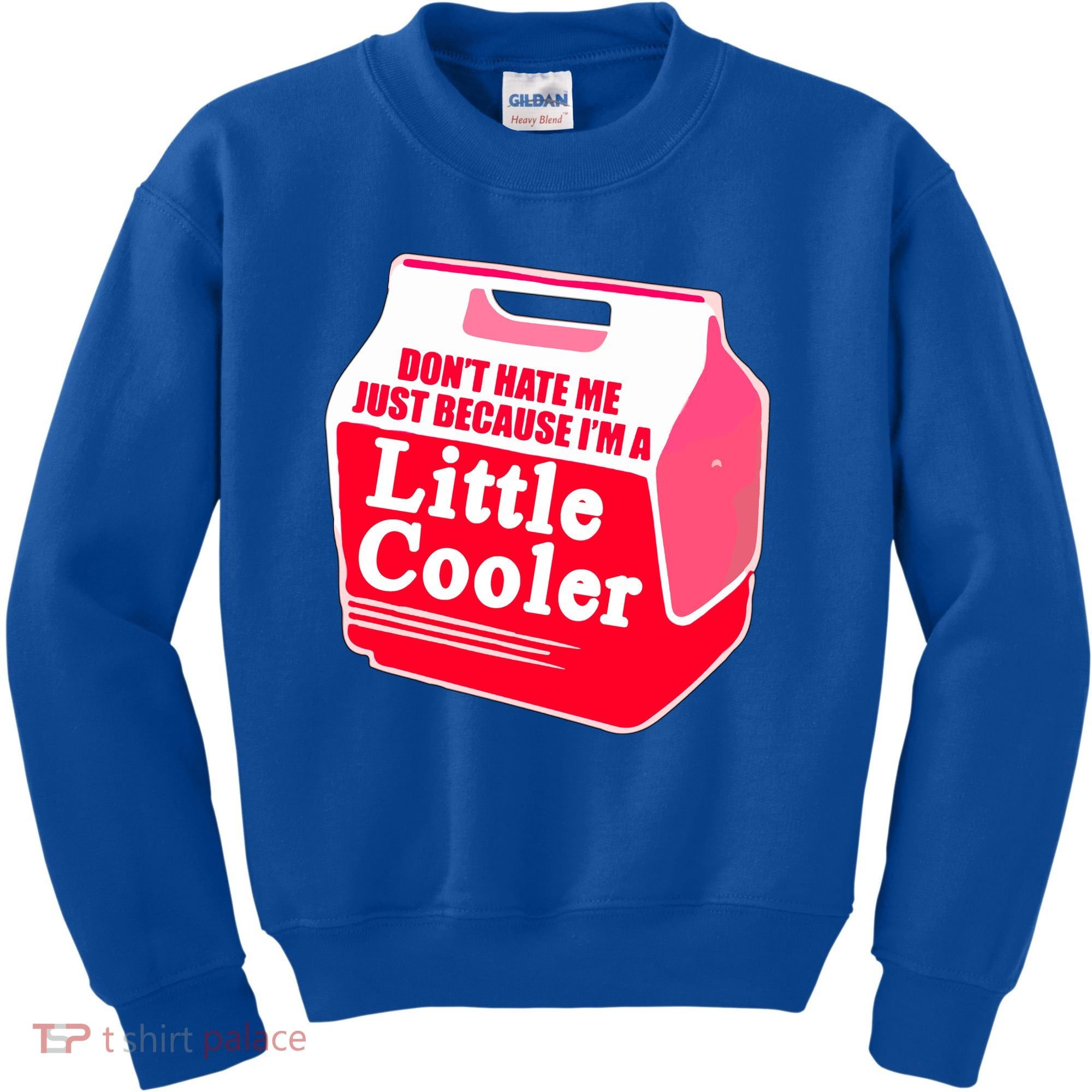 Don't Hate Me Because I'm A Little Cooler Kids Sweatshirt