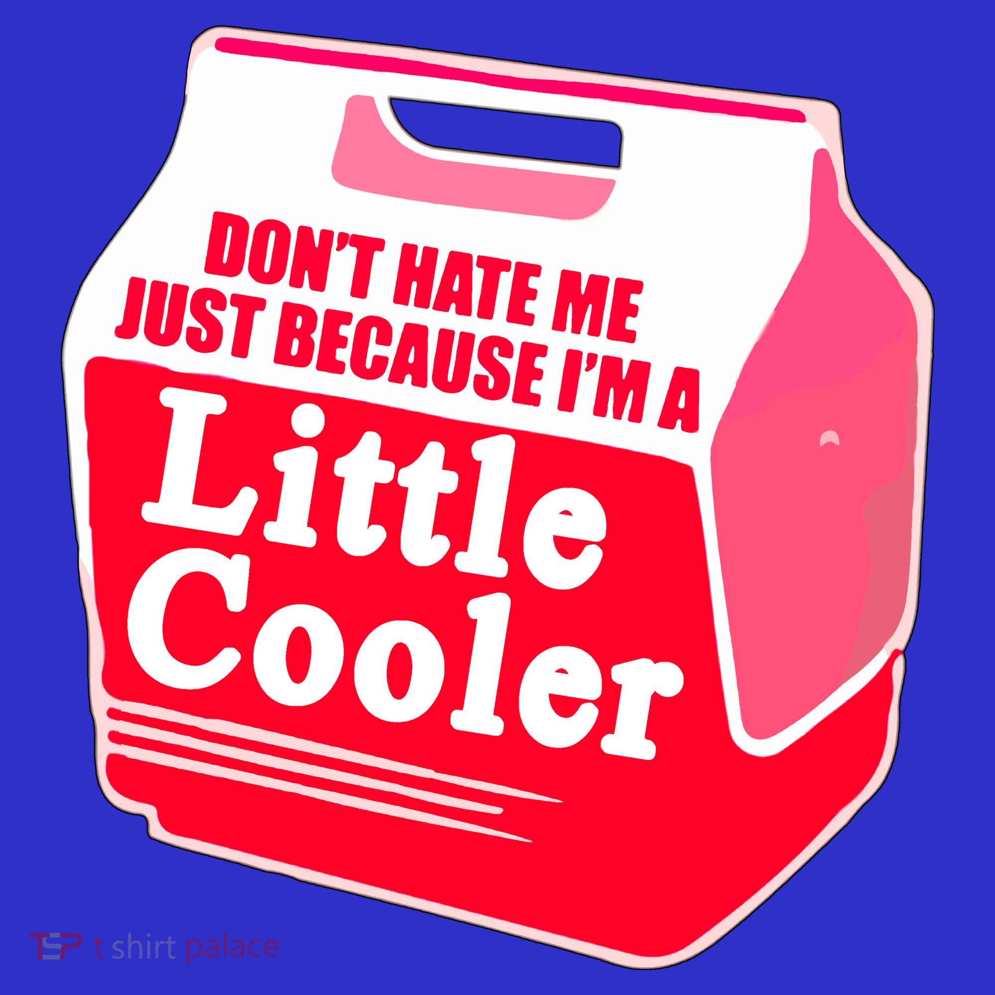 Don't Hate Me Because I'm A Little Cooler Kids T-Shirt