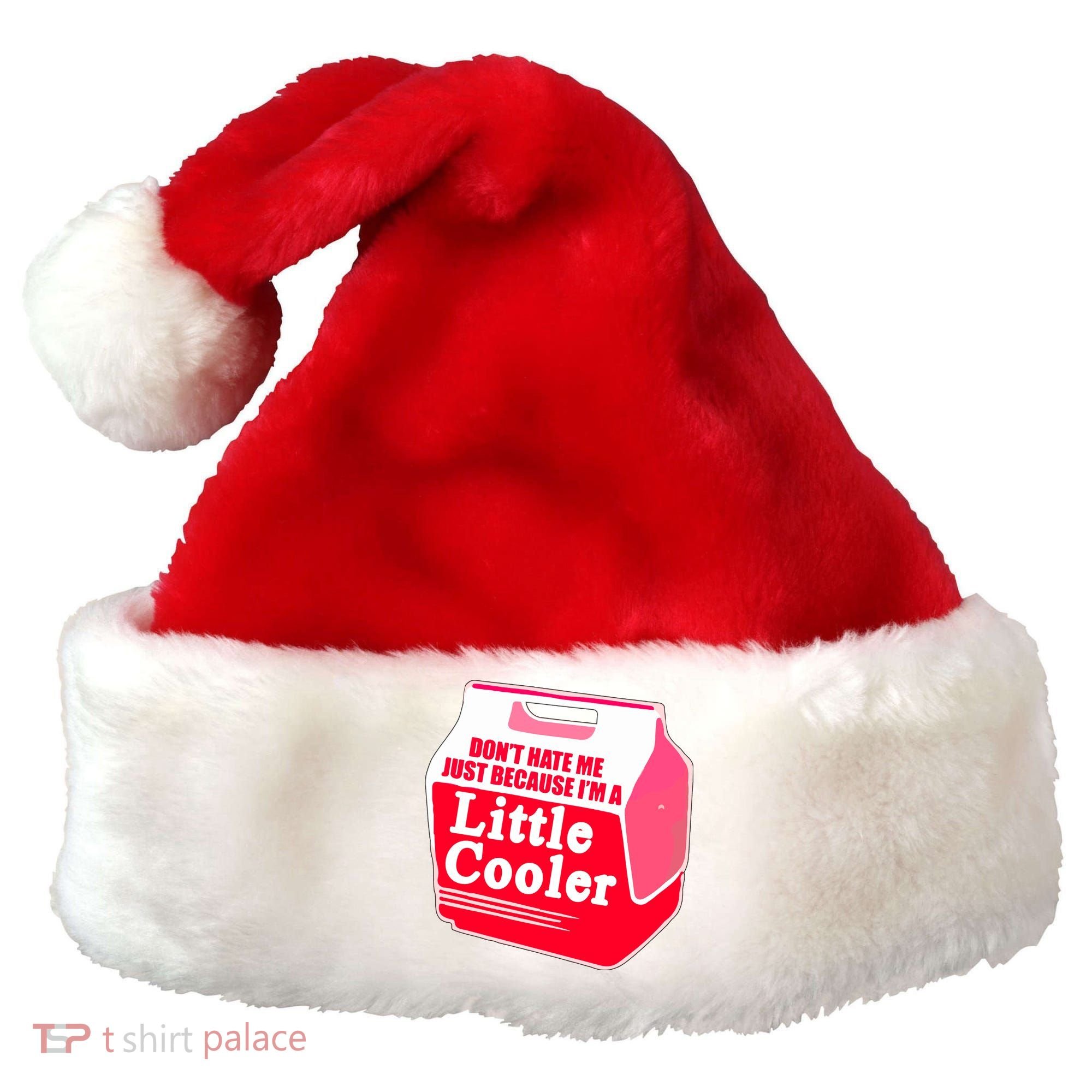 Don't Hate Me Because I'm A Little Cooler Santa Hat