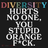 Diversity Hurts No One You Stupid Orange Fuck Women's Hoodie thumb 2