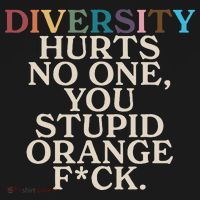 Diversity Hurts No One You Stupid Orange Fck Funny Slogan Women's Hoodie thumb 2