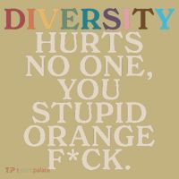Diversity Hurts No One You Stupid Orange Fck Funny Slogan T-Shirt thumb 7