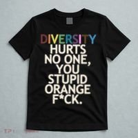 Diversity Hurts No One You Stupid Orange Fck Funny Slogan T-Shirt thumb 5