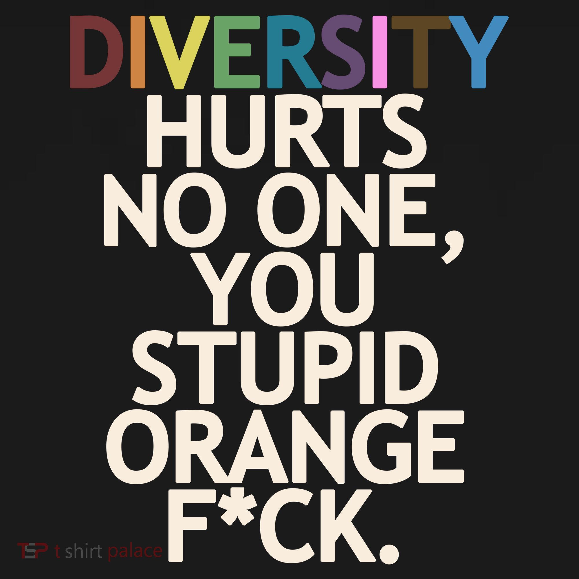 Diversity Hurts No One You Stupid Orange Fck Funny Slogan T-Shirt