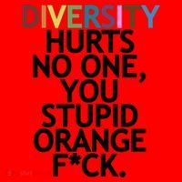 Diversity Hurts No One You Stupid Orange Fck Funny Slogan Santa Hat thumb 1