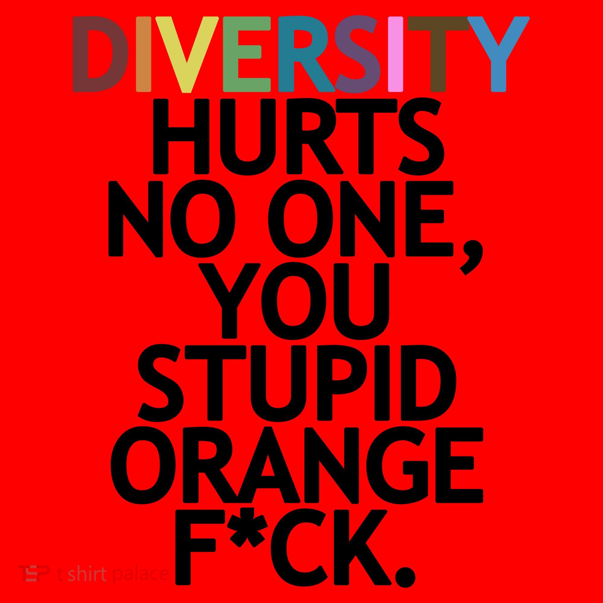 Diversity Hurts No One You Stupid Orange Fck Funny Slogan Santa Hat