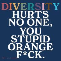 Diversity Hurts No One You Stupid Orange Fck Women's Hoodie thumb 2