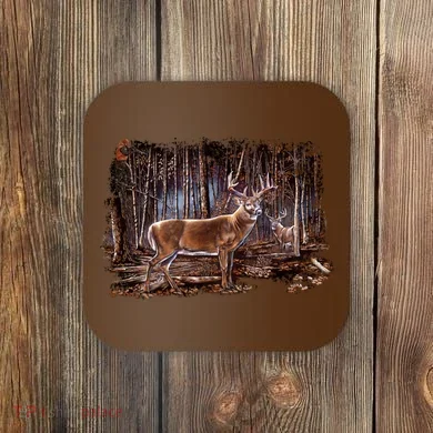 Coaster