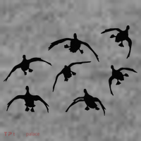 Duck Hunting Seven Drakes By Committed Waterfowl Toddler Hoodie thumb 2