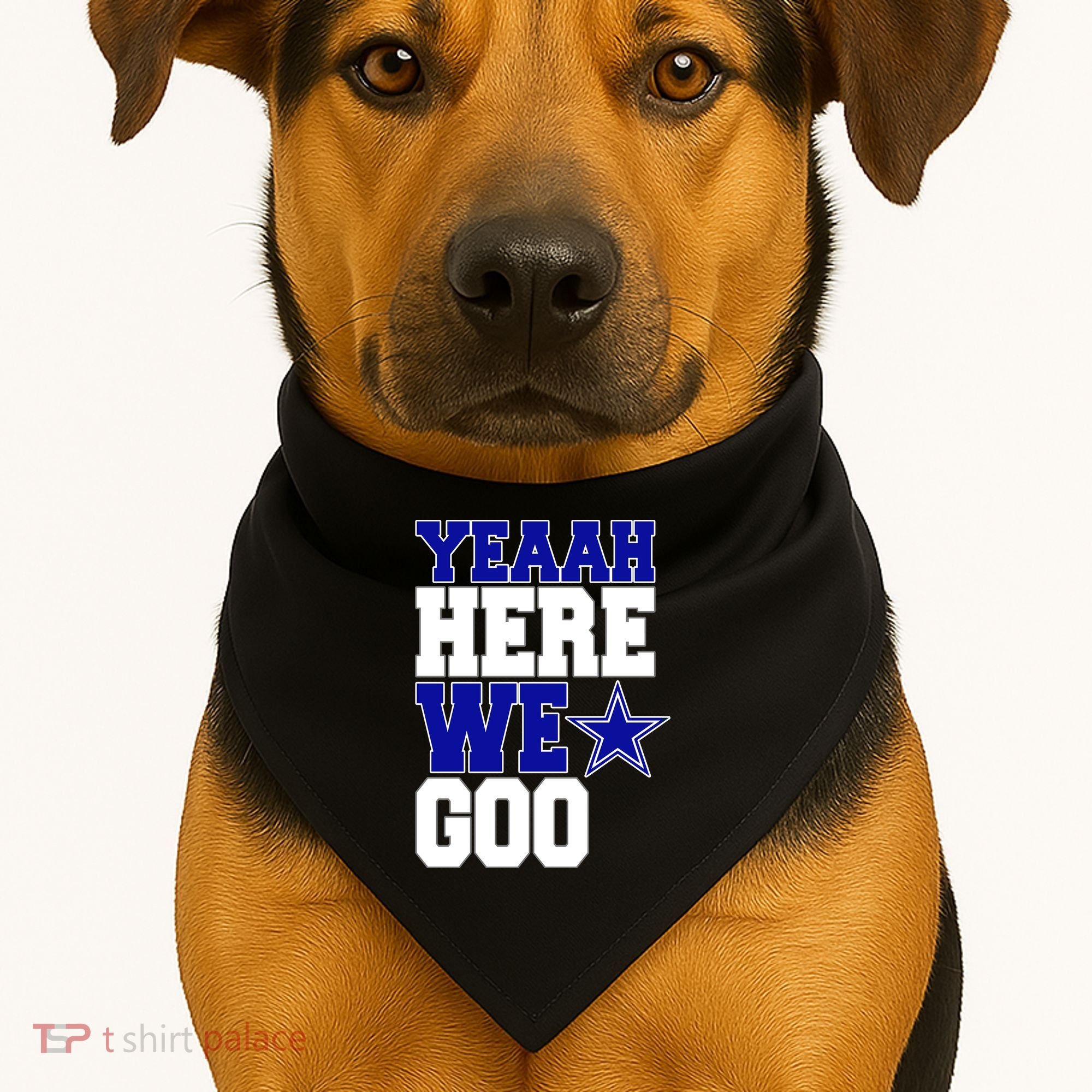 Dallas Here We Go Football USA-Made Doggie Bandana