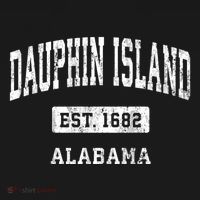 Dauphin Island Alabama Al Vintage Sports Established T-Shirt thumb 7