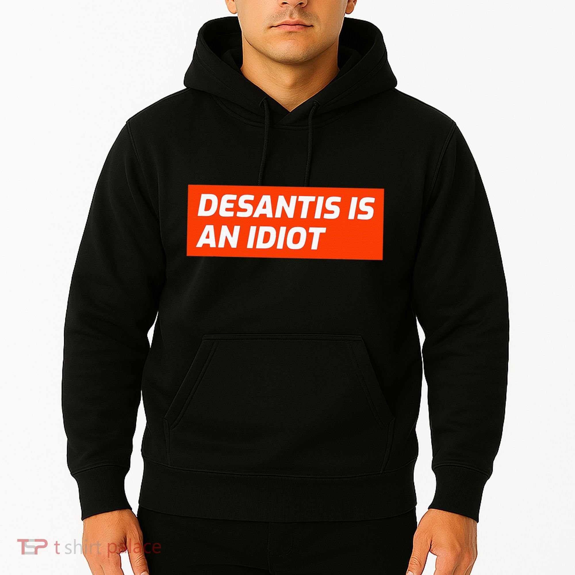Desantis Is An Idiot Desantis Is A Moron Florida Hoodie