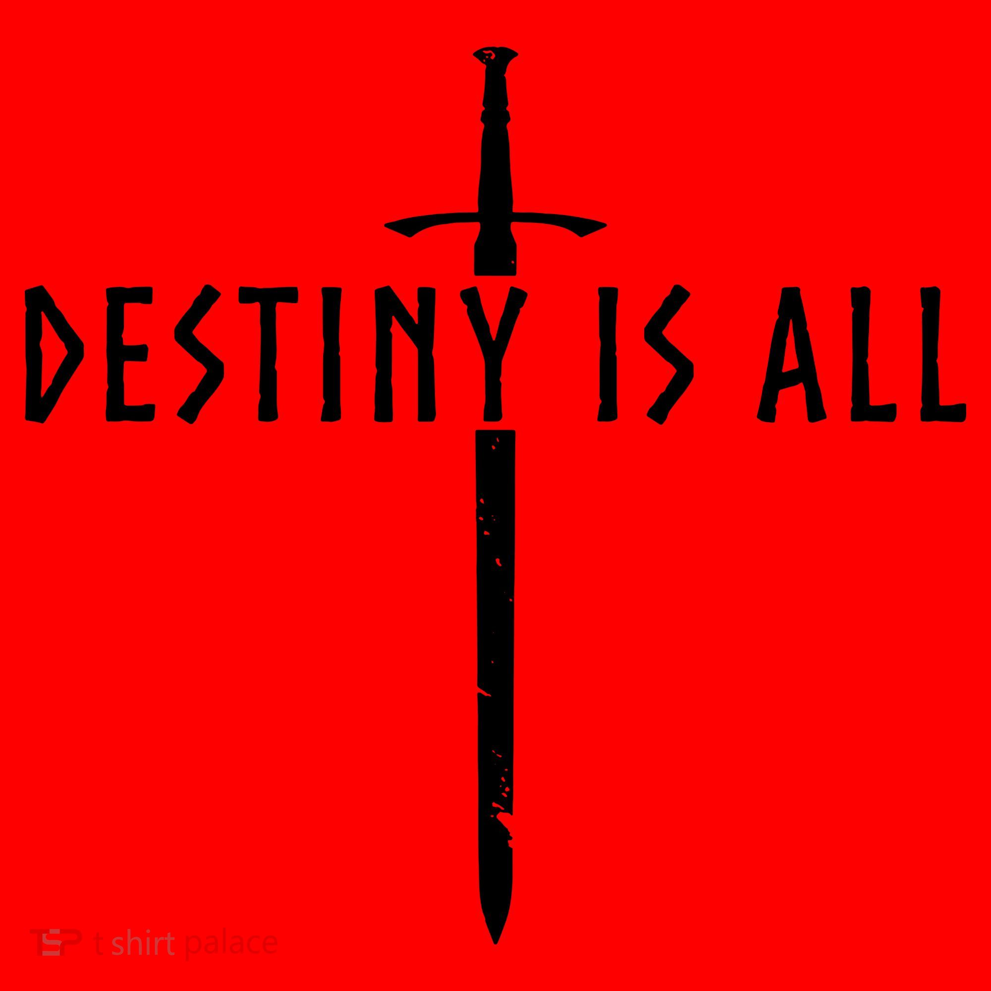 Destiny Is All Kingdom Santa Hat