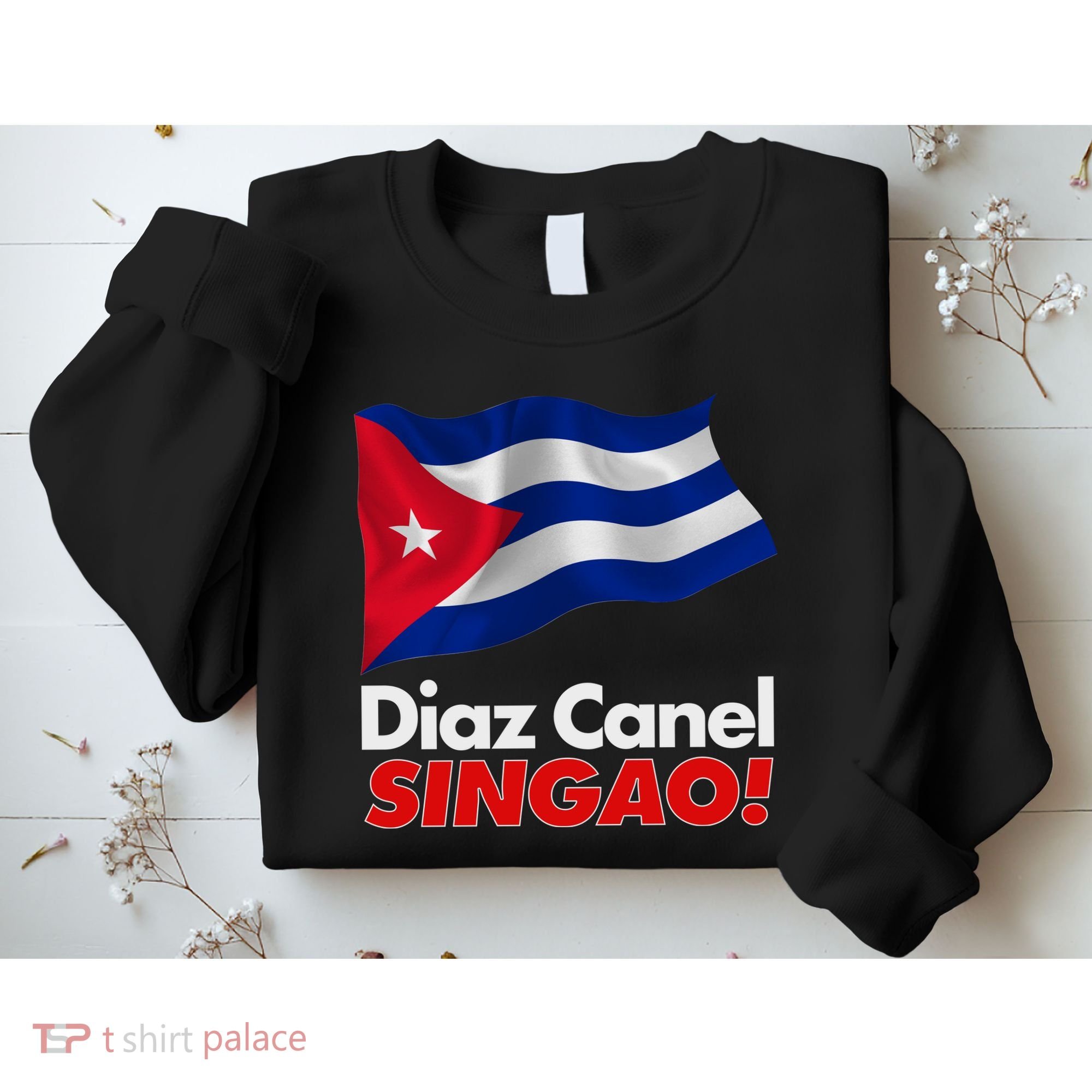 Diaz Canel Singao! Cuban Flag Sweatshirt