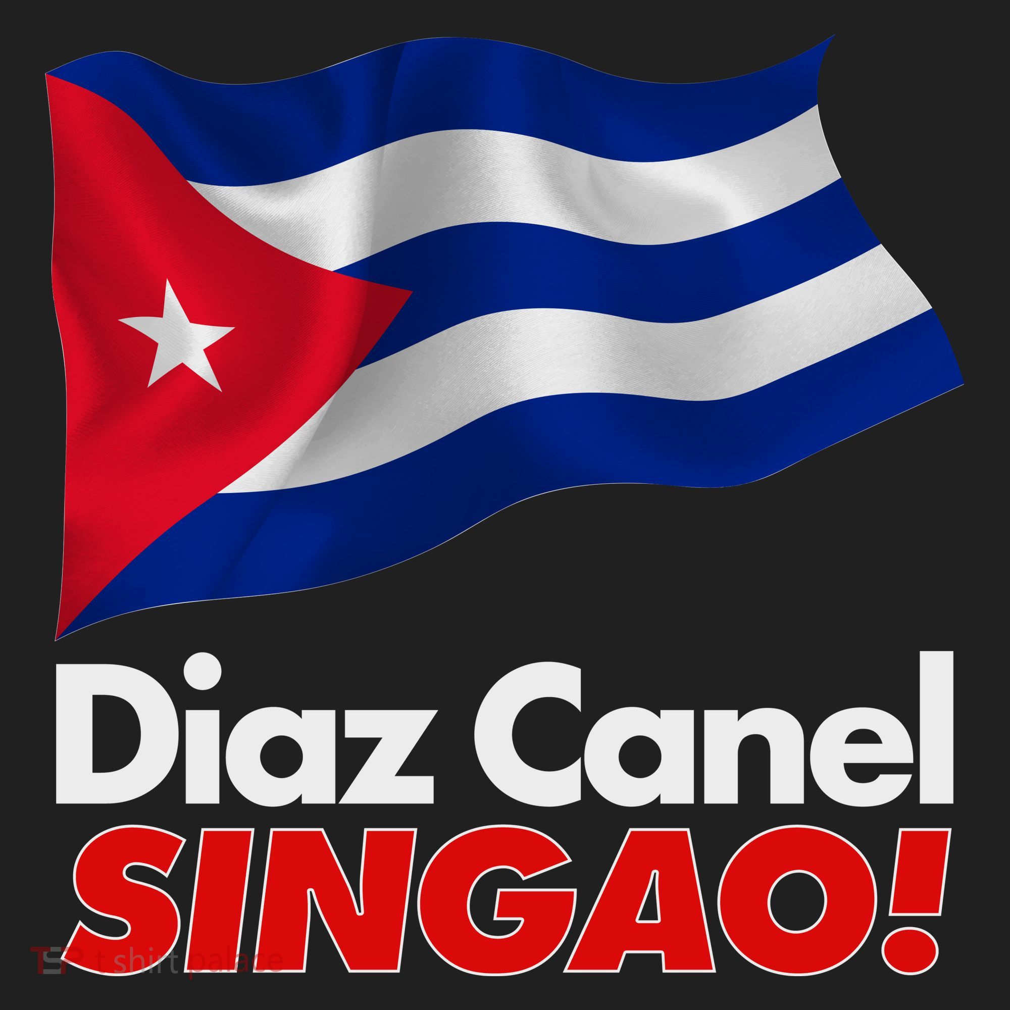 Diaz Canel Singao! Cuban Flag Beanie