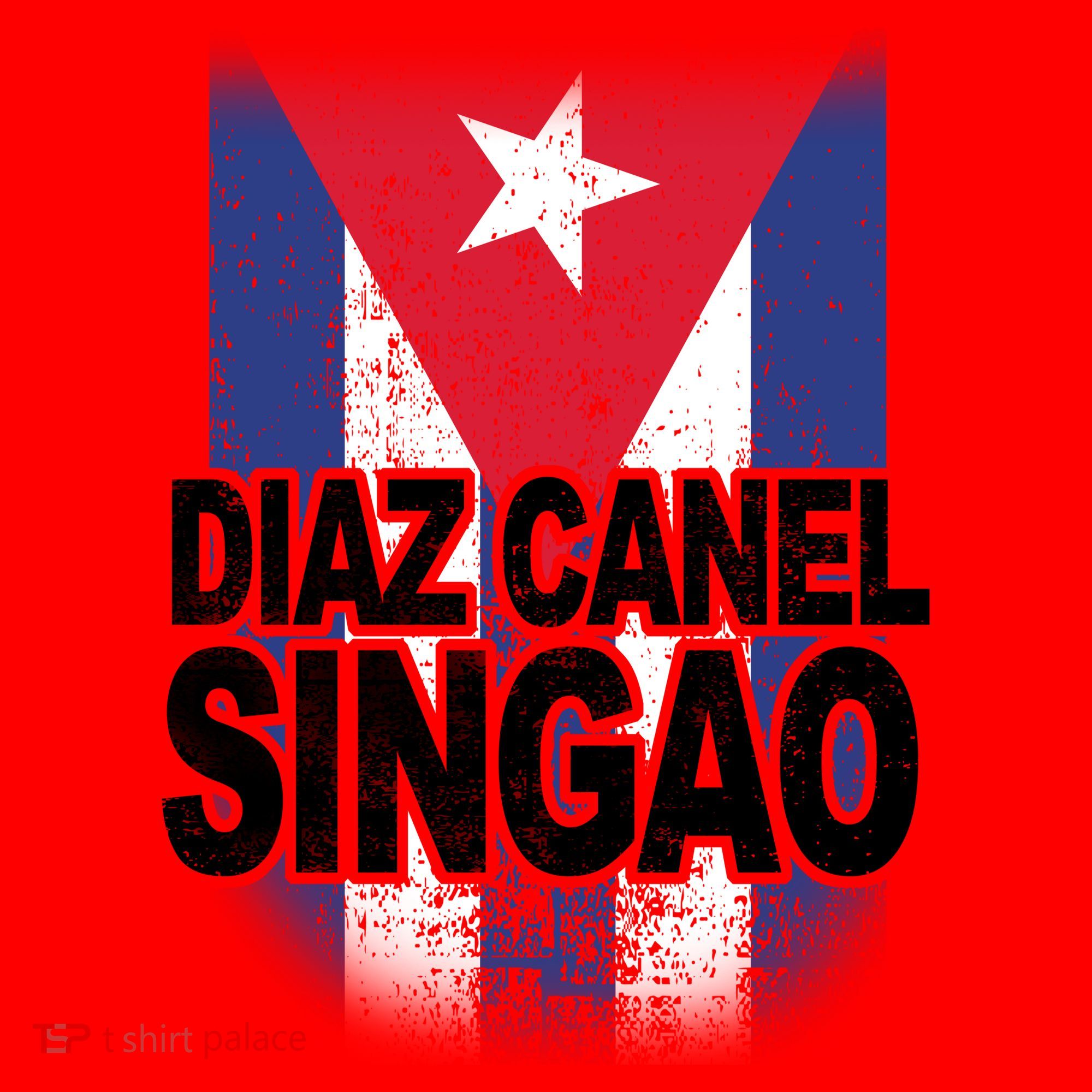 Diaz Canel Singao Cuban Flag Distressed Santa Hat