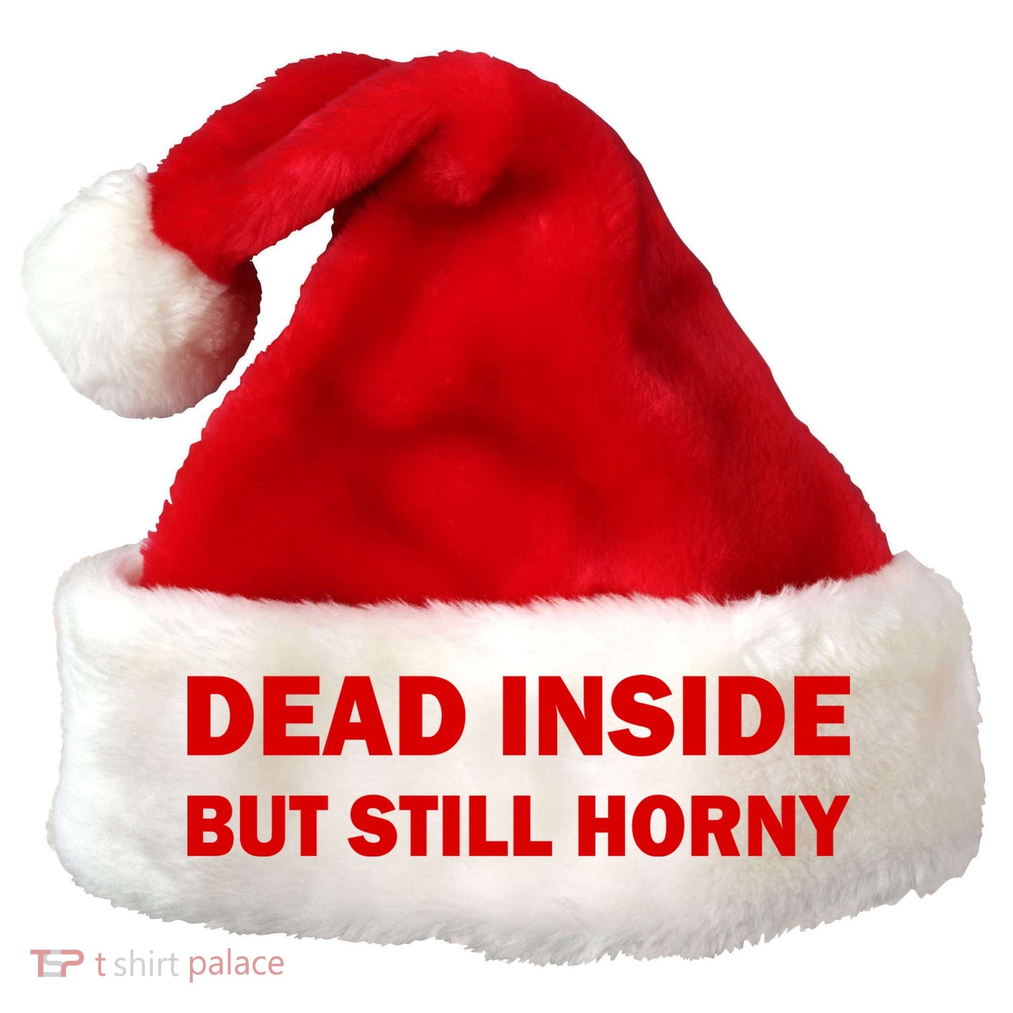 Dead Inside But Still Horny Classic Santa Hat