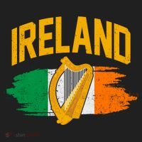 Distressed Ireland Coat Of Arms Harp Flag Women's Sweatshirt thumb 2