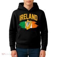 Distressed Ireland Coat Of Arms Harp Flag Kids Hoodie thumb 4