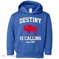 Destiny Is Calling Since 1960 Buffalo Mafia Football Toddler Hoodie thumb 0