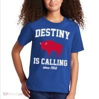 Destiny Is Calling Since 1960 Buffalo Mafia Football Kids T-Shirt thumb 2
