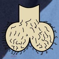 Dick Head Ball Sack Raglan Baseball Sleeve Shirt thumb 2